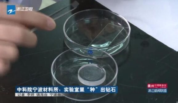 横行全球的百年*局骗**，终于被戳破