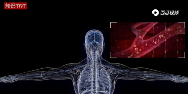 为什么有人会有梦游症,为啥有的人梦游