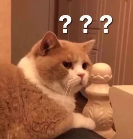 猫毛吸进肺里案例,猫的毛会吸进肺里吗