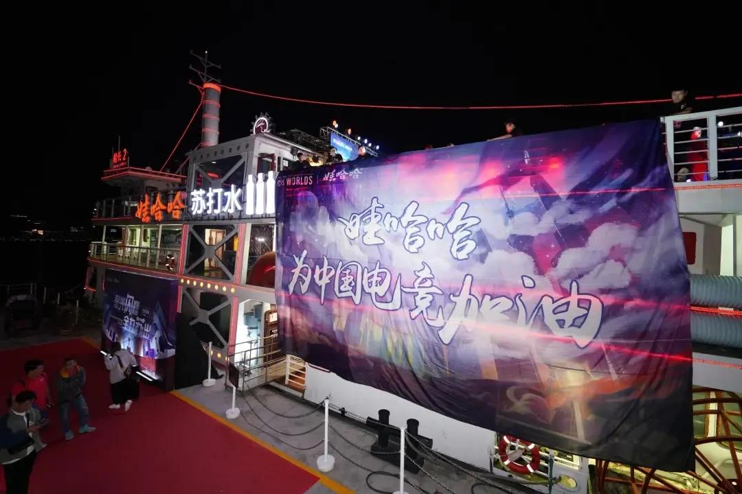 娃哈哈发展过程中存在的机会,娃哈哈的成功和困惑