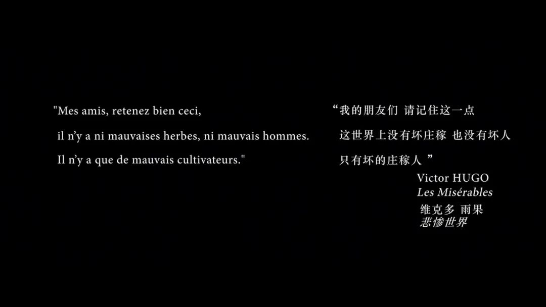 我的十大电影,各年度优秀的电影