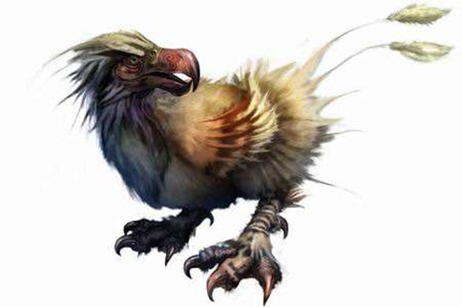 山海经记载凤凰鸟的存在,山海经里的神鸟还有什么