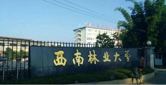 云南省实力最强的几所大学，你的母校排第几？