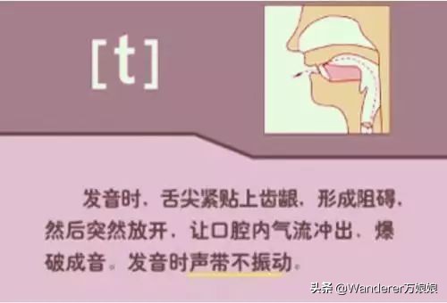 英语48个音标发音附详细图解,音标发音48个正确发音讲解视频