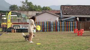 单身汪的逆袭,单身汪实力