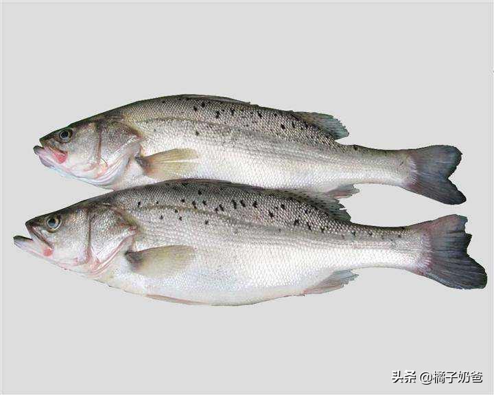 除了核桃补脑还有什么补脑,核桃补脑六个最佳方法