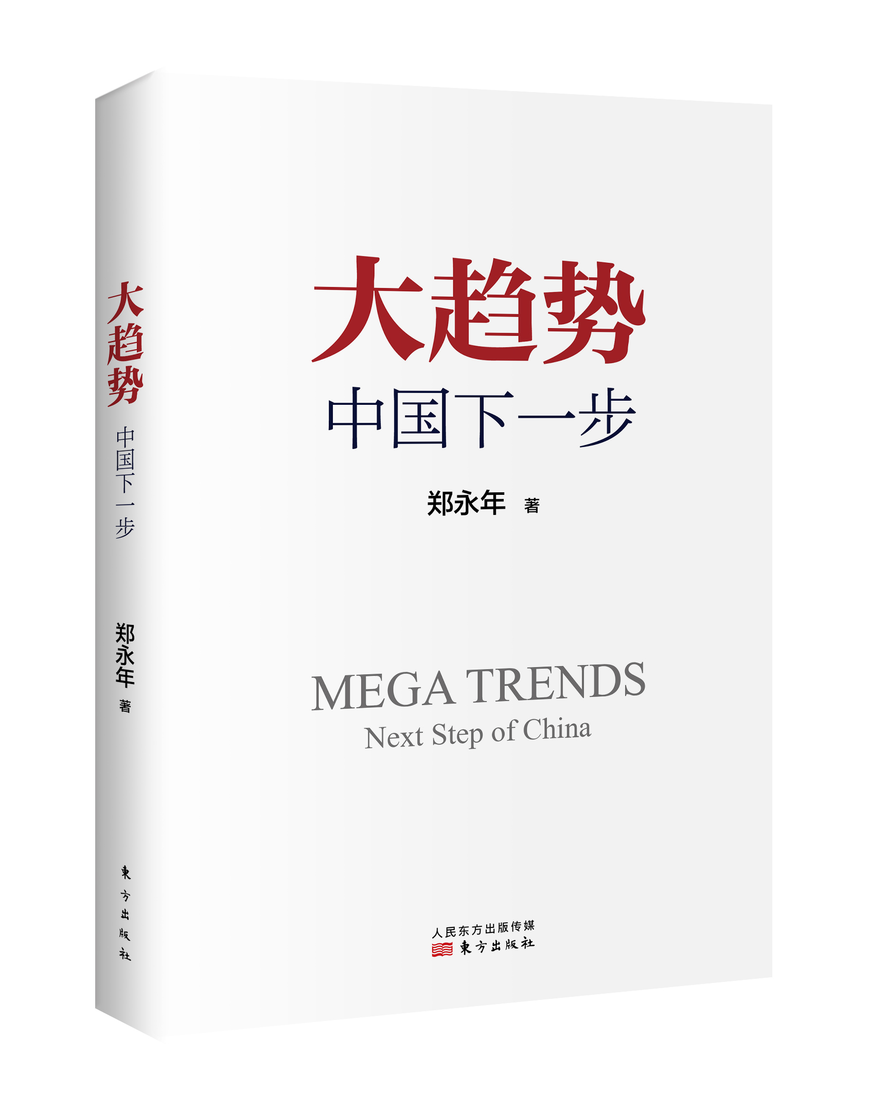 郑永年关于中国现状的分析,郑永年反腐