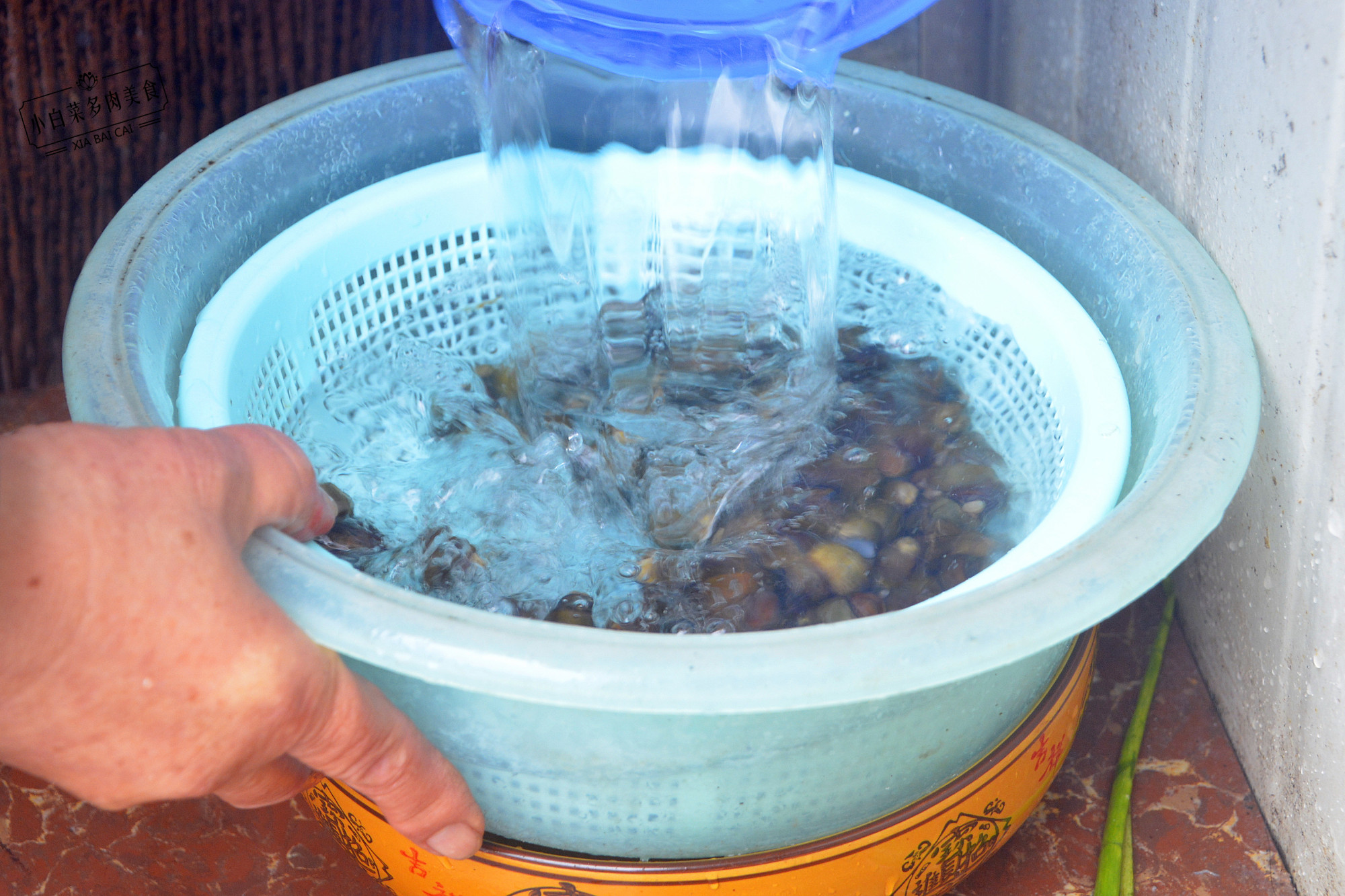 为什么螺蛳炒之前烫一下,大螺蛳怎么用牙签吃正确图片