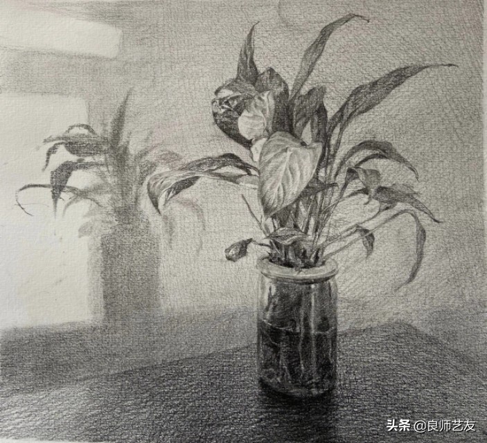中央美术学院素描基础视频,中央美术学院素描作品最高境界