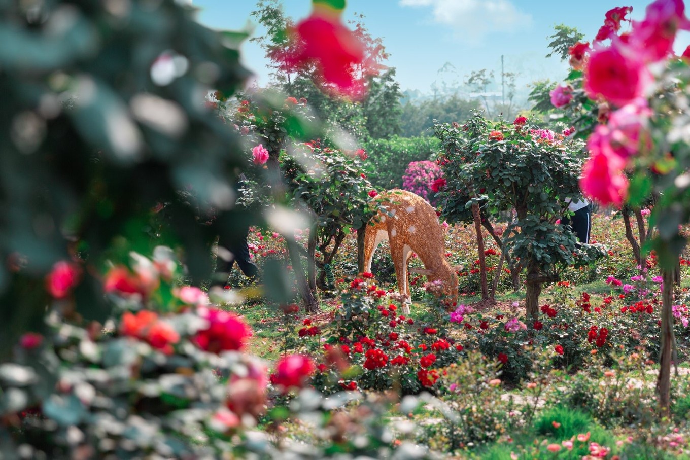 治愈圣地，共赴重庆合川铜梁，一见古今山水城