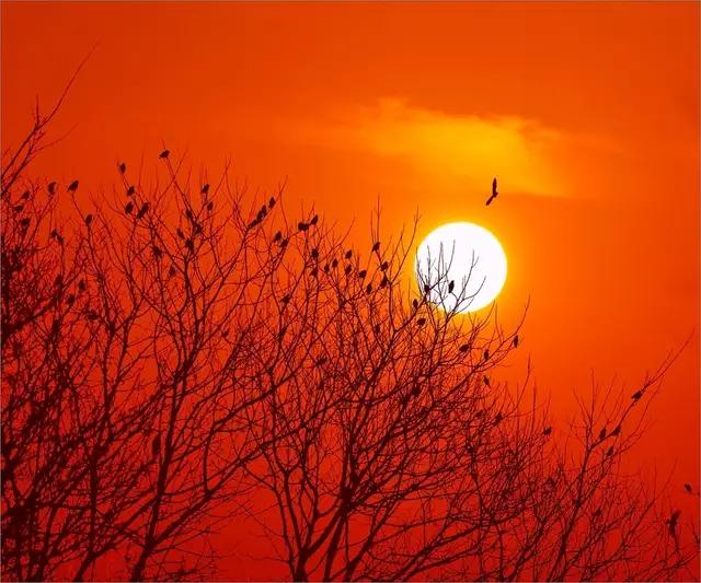 迎新年的春联吉祥话,读春联迎新年