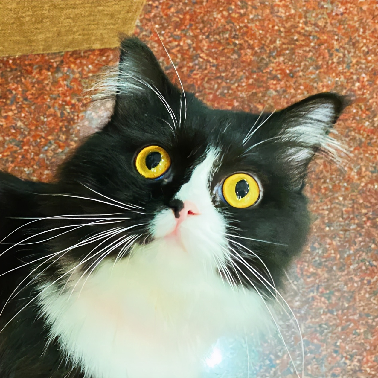 打卡番禺市桥三堂,打卡广州100家美食