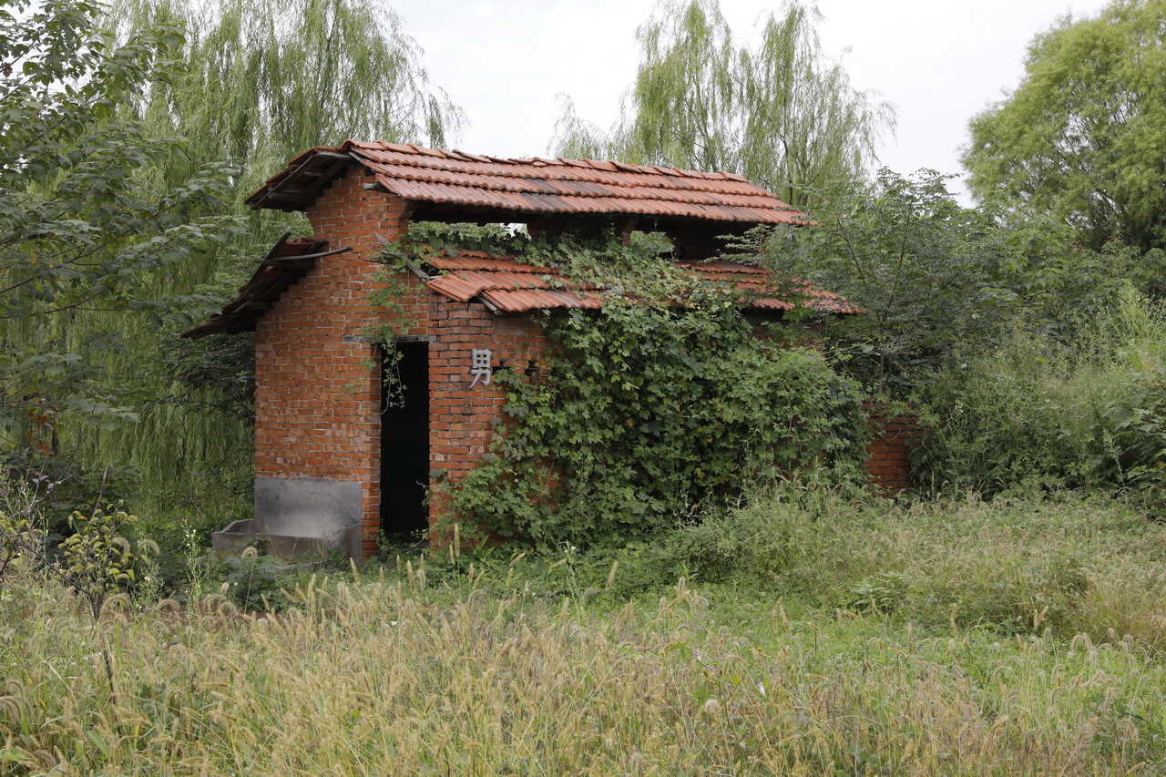 武汉市第七砖瓦厂陈建华,武汉砖瓦厂的发展现状