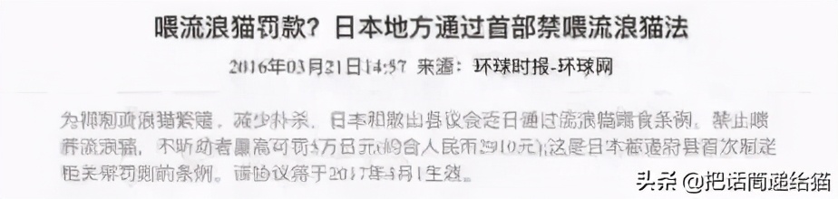 虐猫后良心发现加价“*养送**”？在日本领养流浪猫没你想的那么美好