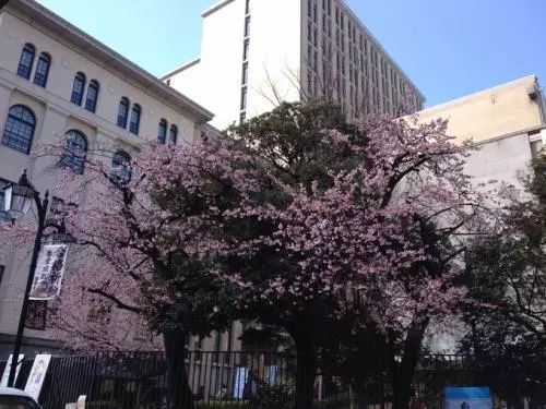 早稻田大学有多少人,日本早稻田大学八位日本首相