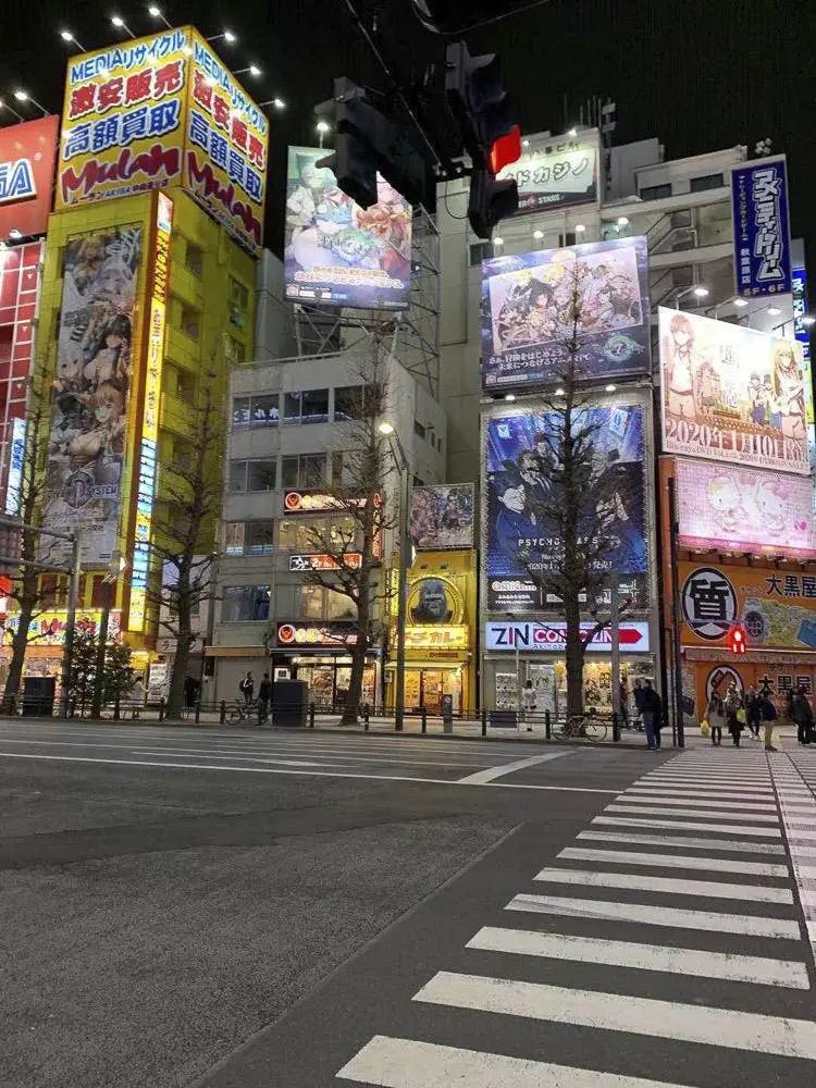 我在钻石公主号附近进入日本