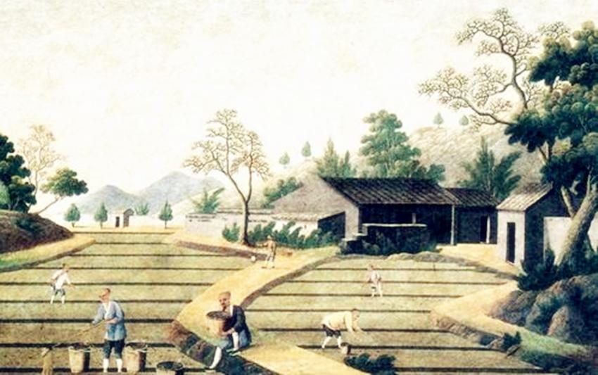 古代冬天没有棉花怎么办,古人没有冰箱怎么保鲜食物