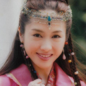 香港最漂亮的十大美女现在的样子,公认最美的香港美女