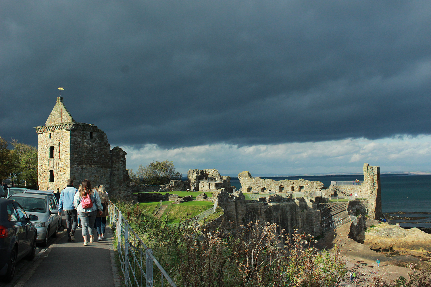 多伦多最新通知,多伦多最新通告