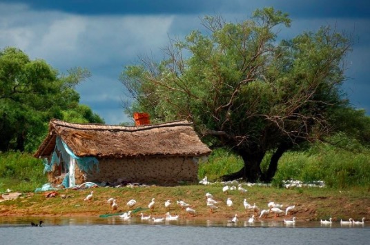 关于辛弃疾田园的生活,辛弃疾的经典片段