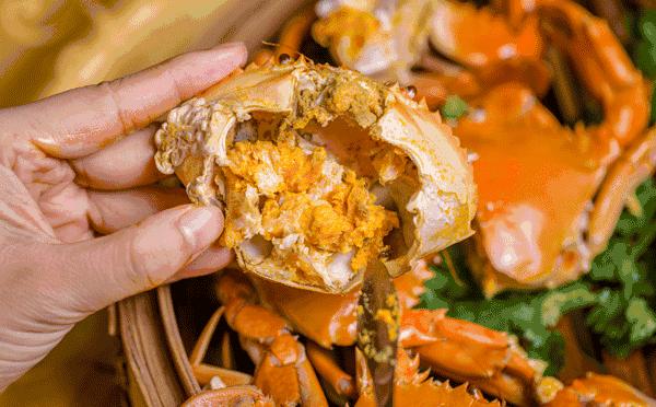 吃蟹赏景就在阳澄湖你准备好了吗,秋季阳澄湖吃蟹