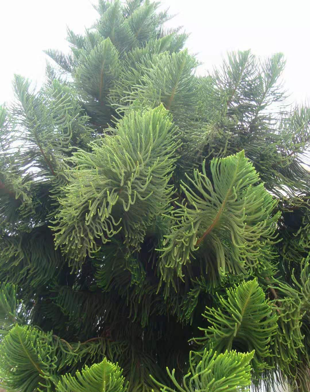 台湾必打卡的地方,我的台湾环岛之旅