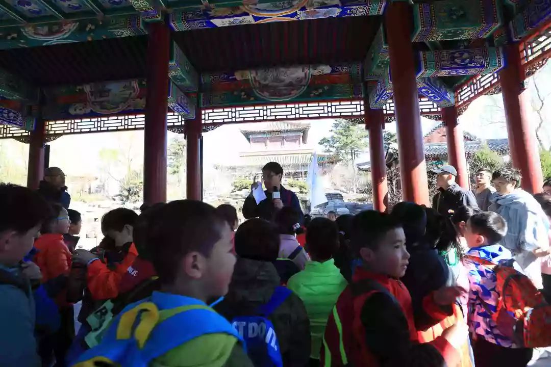 首都师范大学附属云岗小学:追溯北京古风韵遍寻春日俏风光