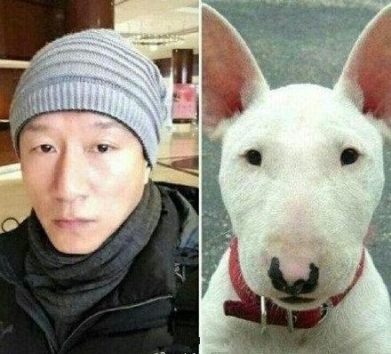 明星撞脸不可怕性别不同就尴尬,意想不到的明星撞脸