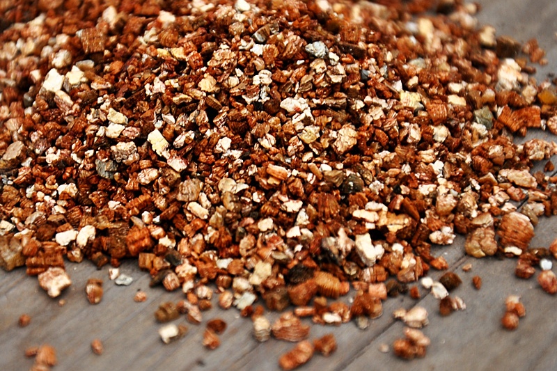 赛鸽鸽子补钙应该喂什么,手养幼鸽怎么补钙