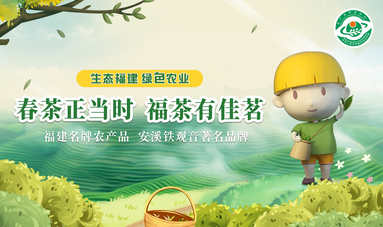 安溪县六大名茶,安溪铁观音爆款榜