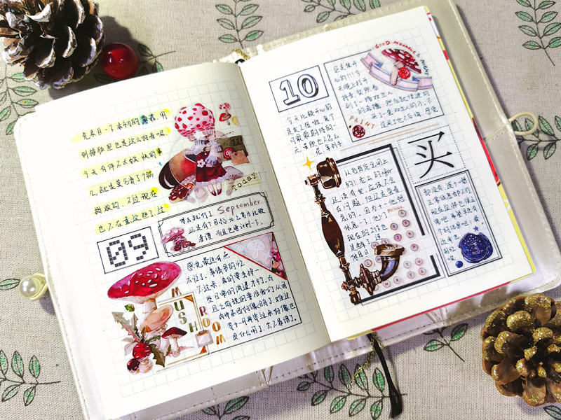 手帐必读的4本书,入手帐坑新手小白应该准备什么