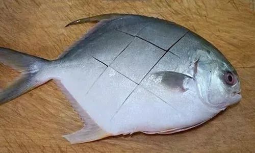 盘点26种花刀技法的厨师工资,烹饪专业刀工绝活让你大开眼界