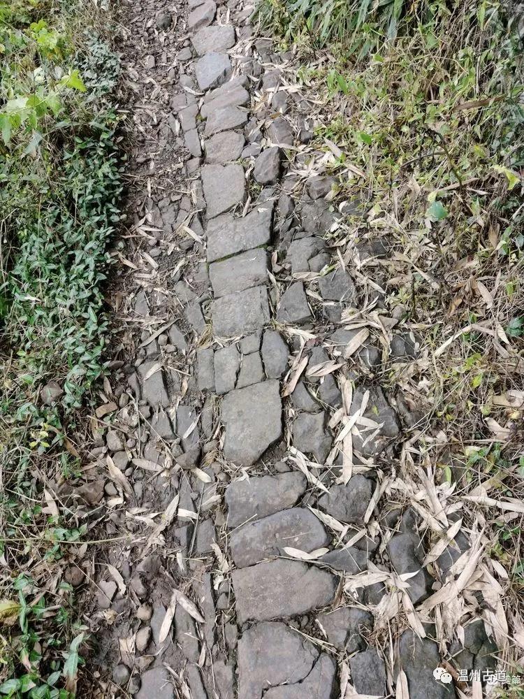 新昌盐帮古道十八渡徒步时间,新昌盐帮古道旅游攻略