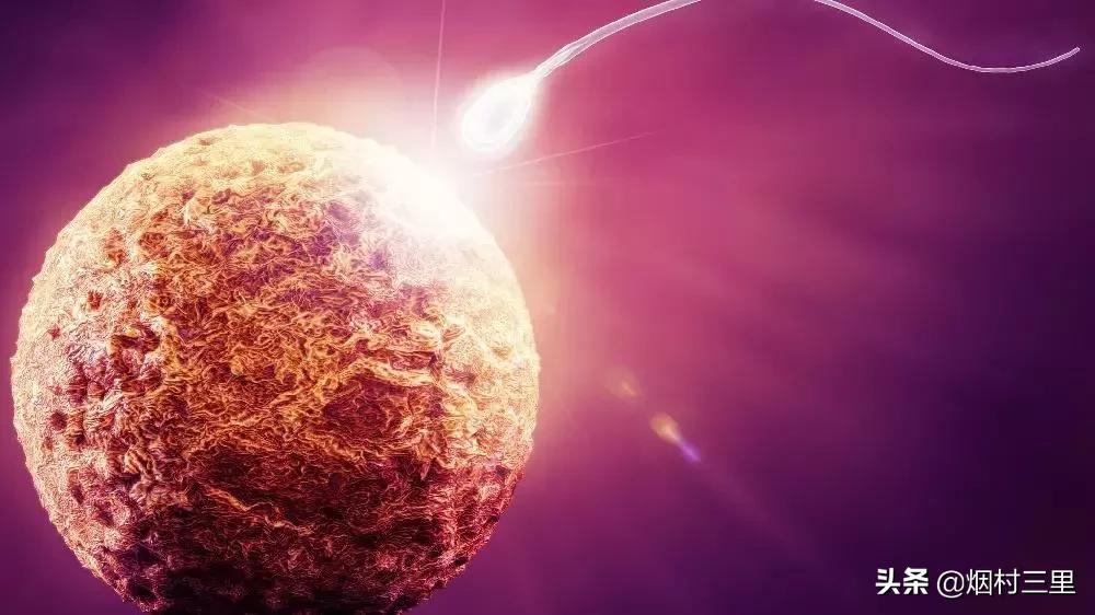 好污染,好污纳垢的意思