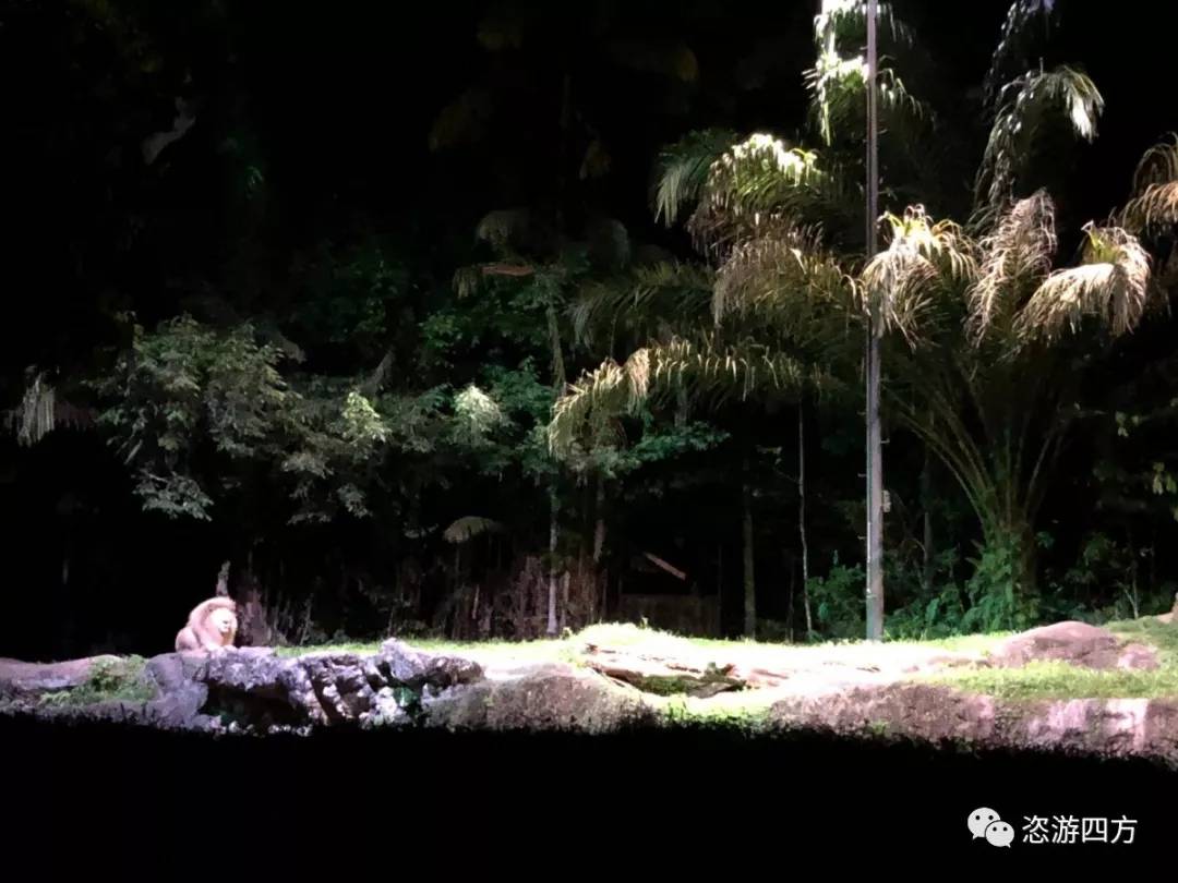 春节去新加坡亲子游记,新加坡亲子游3天2晚自由行含机票