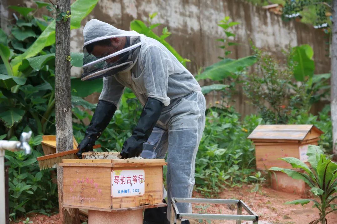 组图:武平县琴韵古筝行六一暨周年庆亲子活动圆满举行