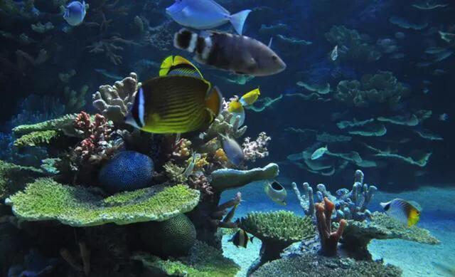 深圳十大暑假室内必去景点,深圳暑假值得带孩子旅游的地方