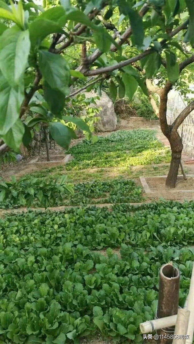 天津盘山紫云金润山庄,天津蓟州盘山金润山庄