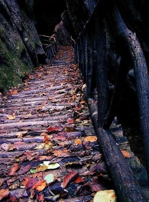 西泰山是什么样的,西泰山为啥叫西泰山