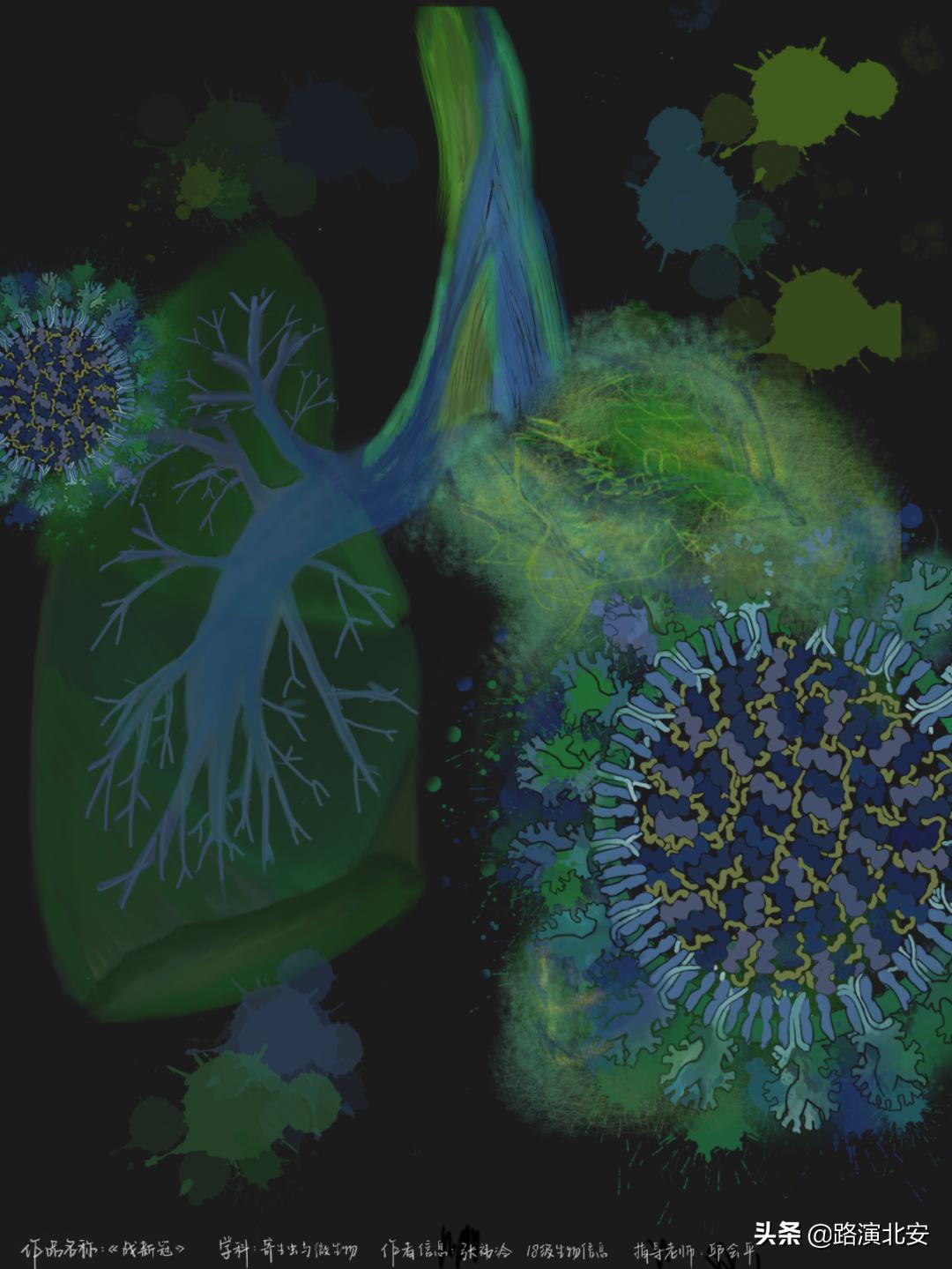 生命的故事绘本视频,生命的故事绘本绘画