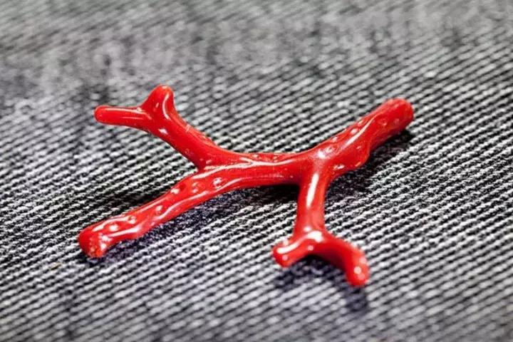 红珊瑚为什么最近火,红珊瑚十五年涨幅