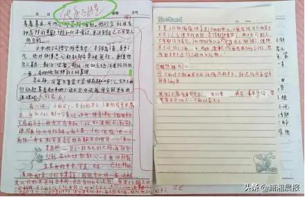 小学生作文课后坠亡事件全过程,小学生因作文批负能量坠亡