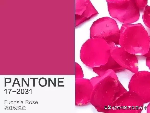 pantone2023流行色对冲色,2024pantone流行色色号
