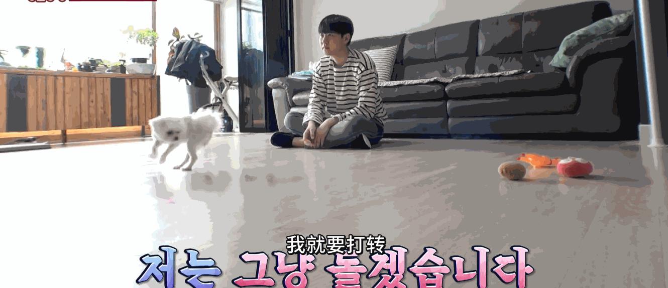 狗狗一直转圈圈还用爪子刨被子,狗狗每天都趴又拉又吐