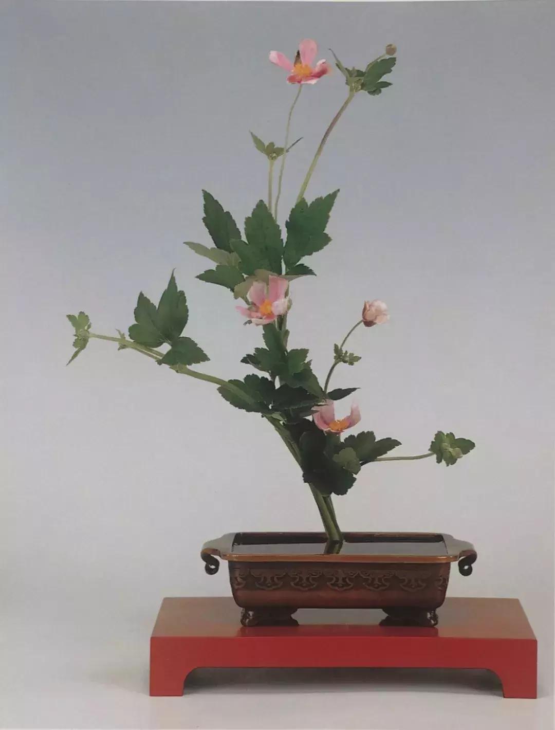 花道与插花技艺,花道活动布置