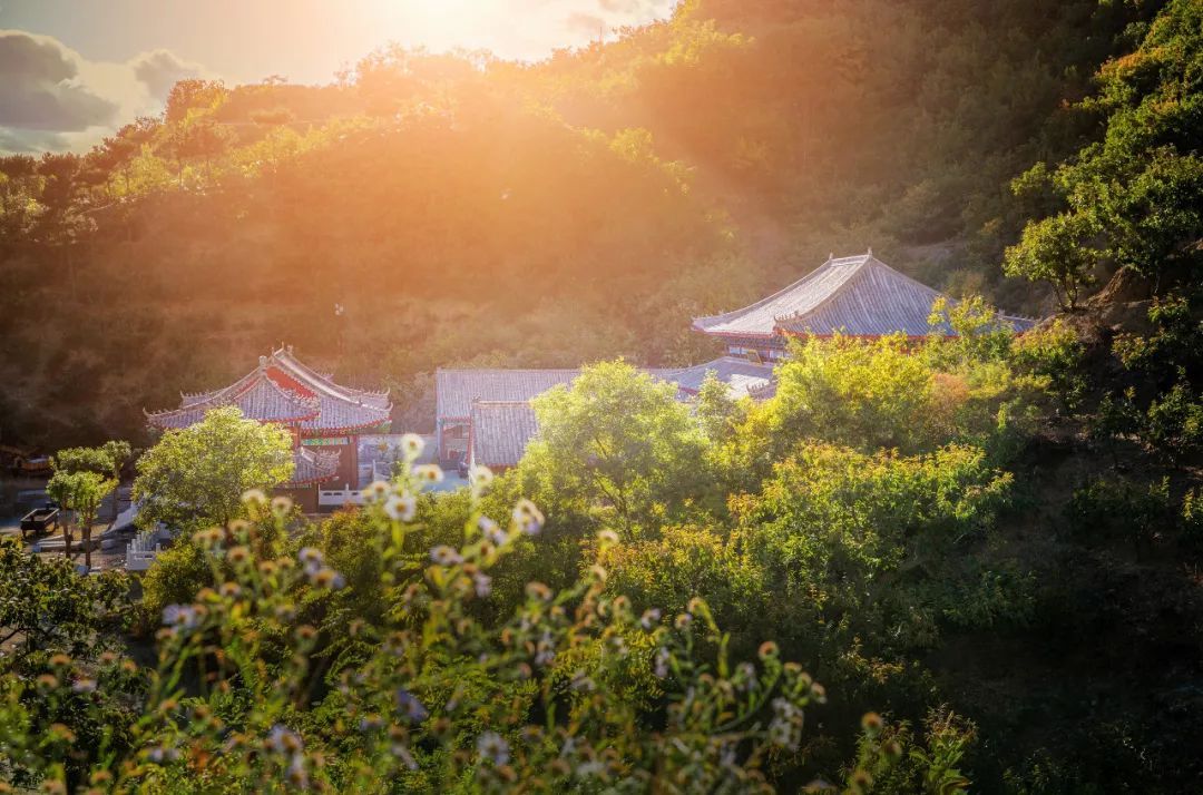 老实人吃亏并不是因为不聪明,三个原因导致老实人容易吃亏