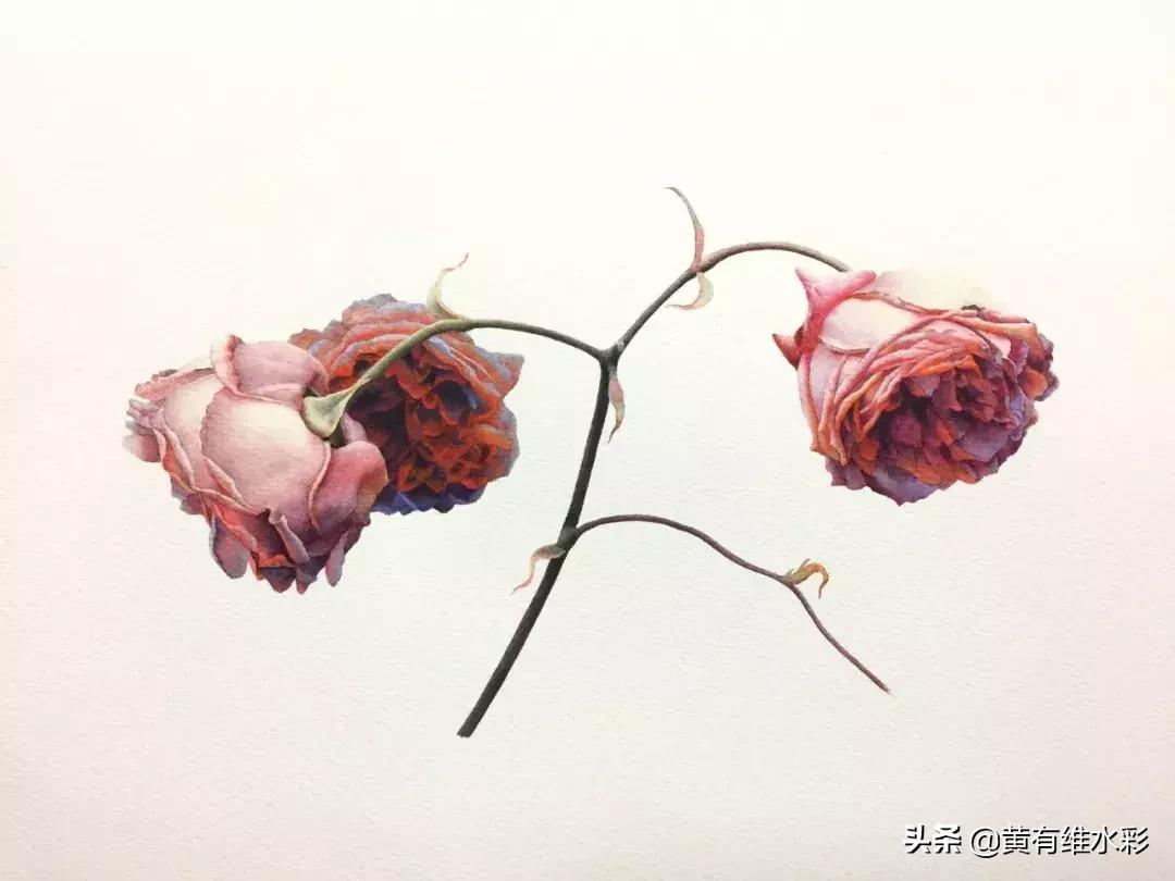 33朵玫瑰制作全过程,英伦花教程