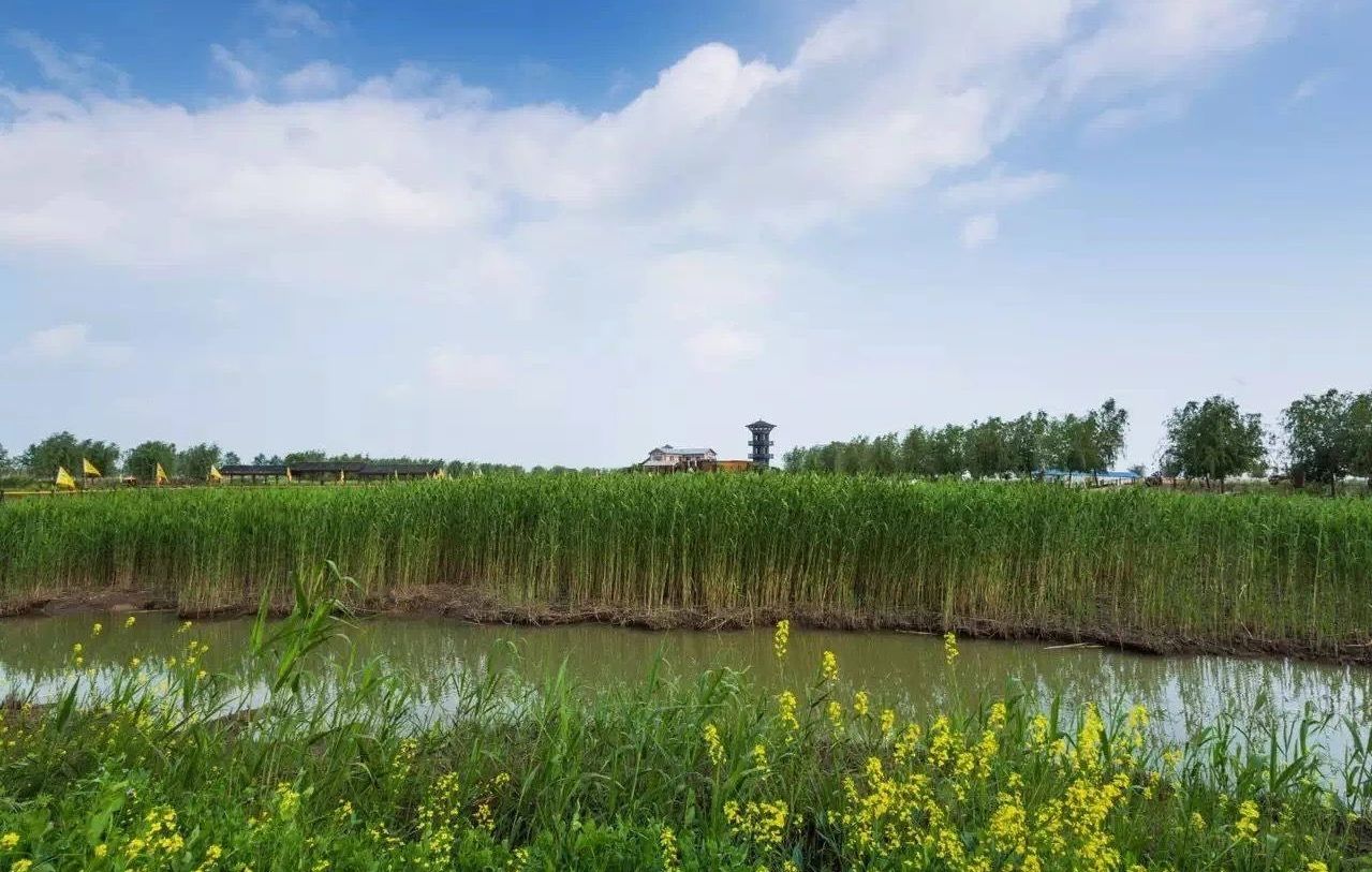 受戒明子和小英子,村姑爱上小和尚