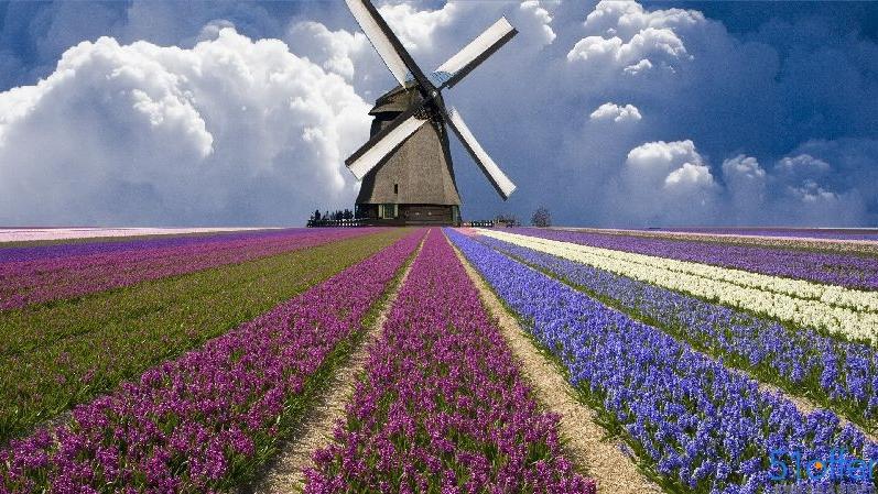 一位旅居荷兰的中国人,旅居荷兰需要什么条件