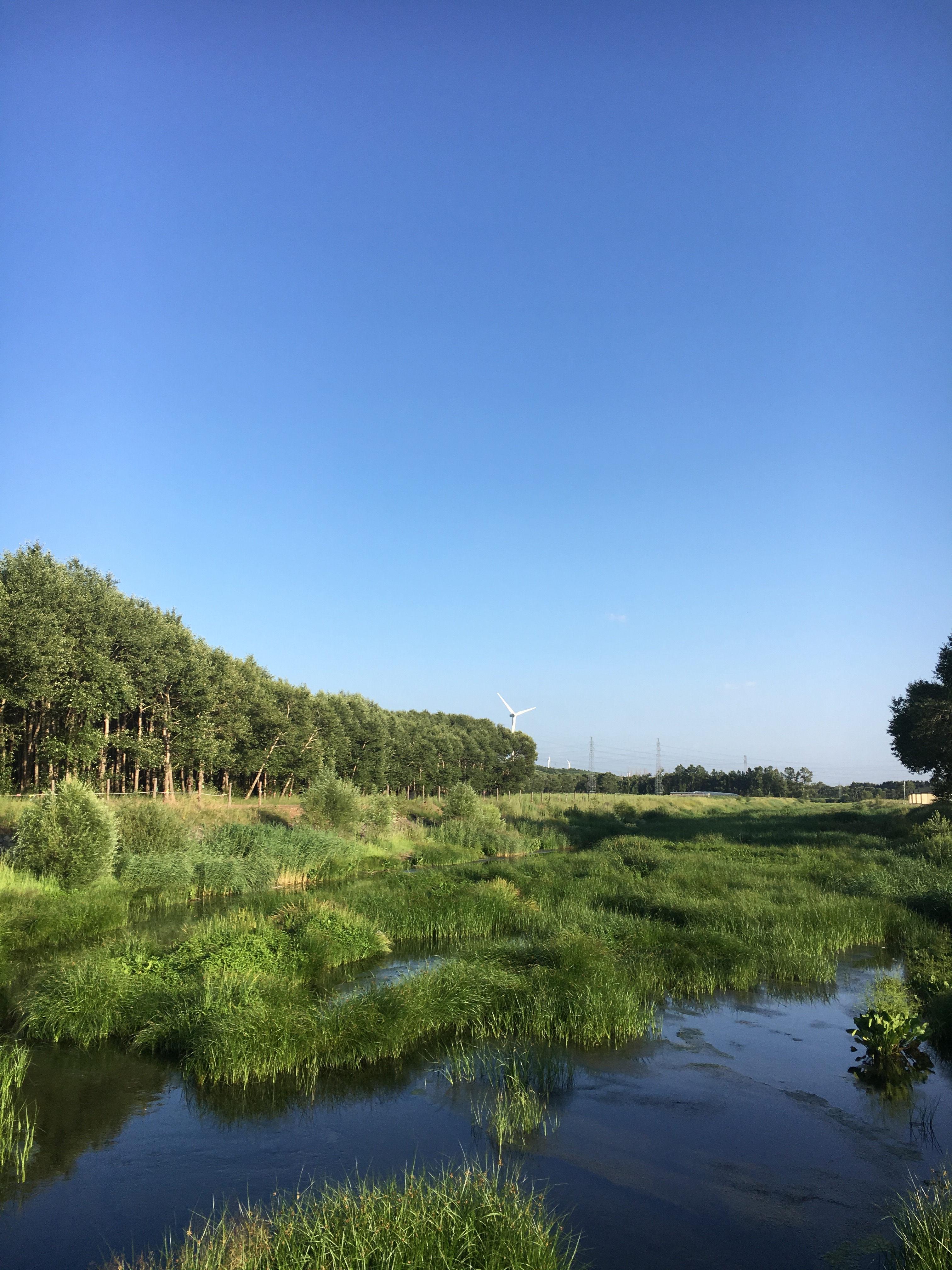 张北草原天路和野狐岭哪个好玩,火车去张北的攻略